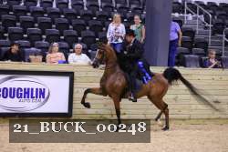 21_BUCK_00248 proof