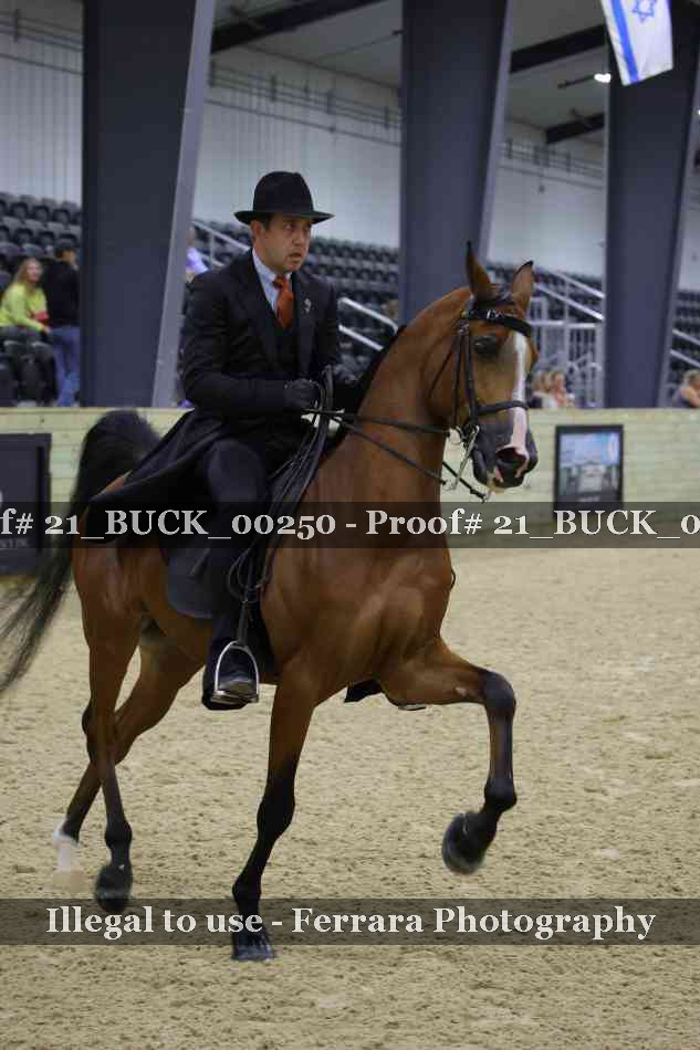 Proof 21_BUCK_00250