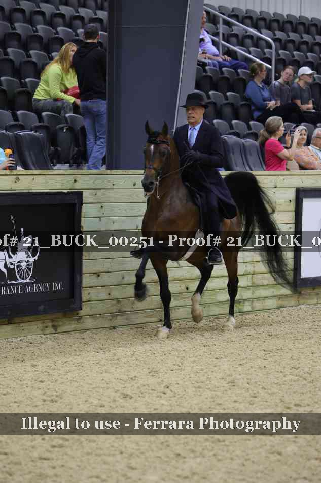 Proof 21_BUCK_00251