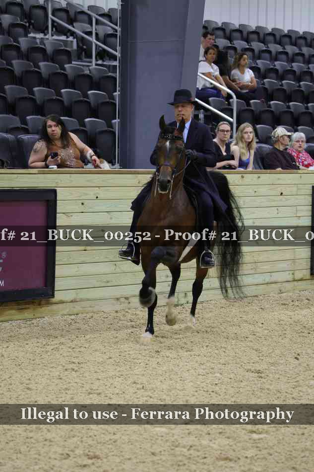 Proof 21_BUCK_00252