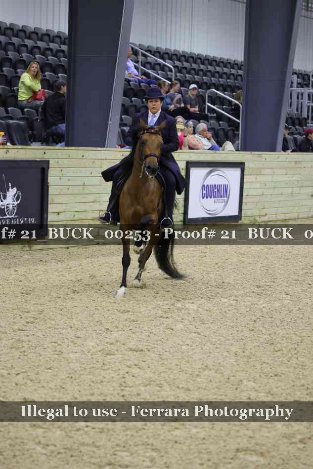 Proof 21_BUCK_00253