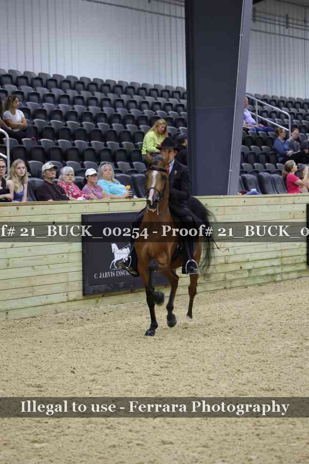 Proof 21_BUCK_00254
