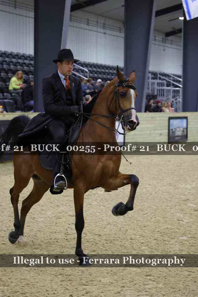 Proof 21_BUCK_00255