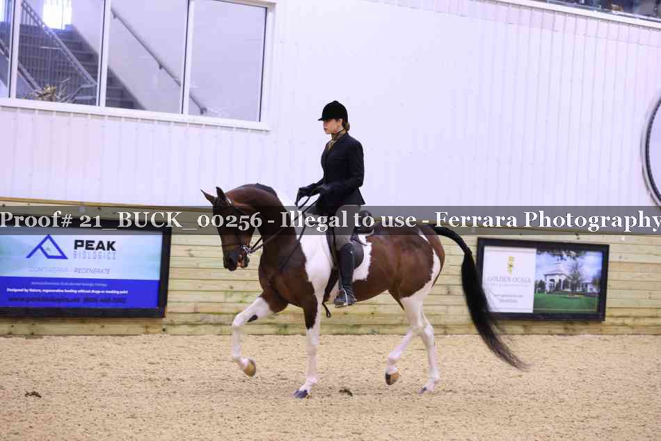 Proof 21_BUCK_00256
