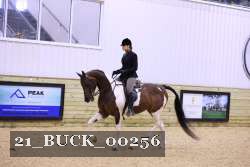 21_BUCK_00256 proof