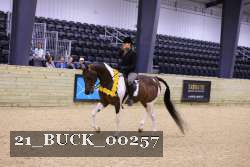 21_BUCK_00257 proof