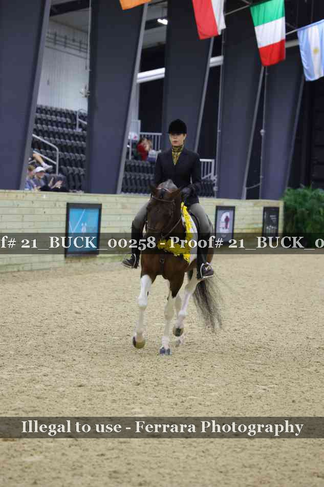 Proof 21_BUCK_00258
