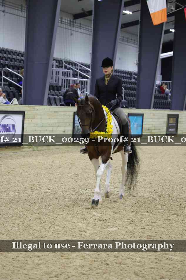 Proof 21_BUCK_00259
