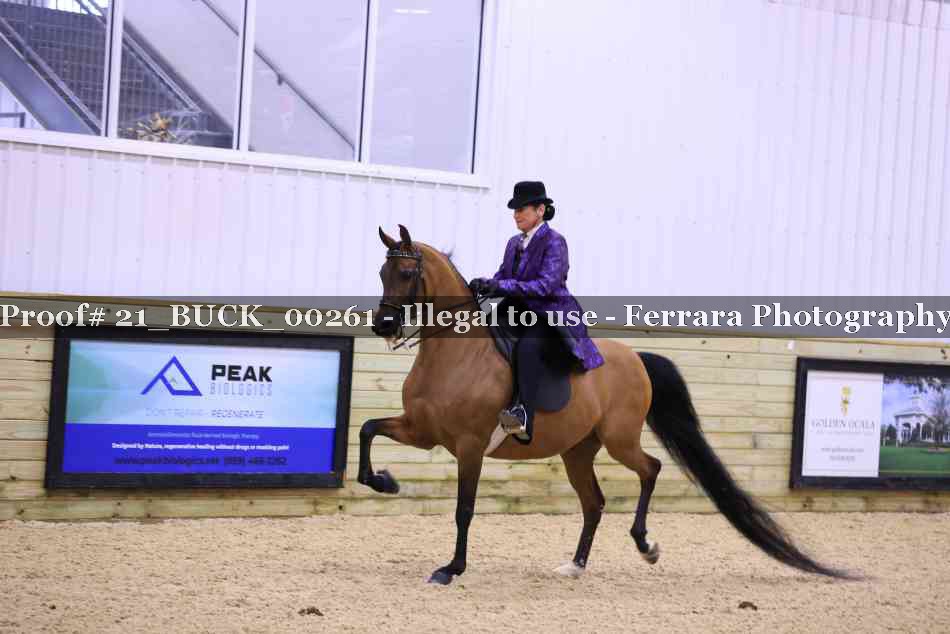 Proof 21_BUCK_00261