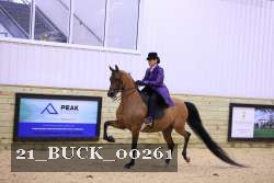 21_BUCK_00261 proof
