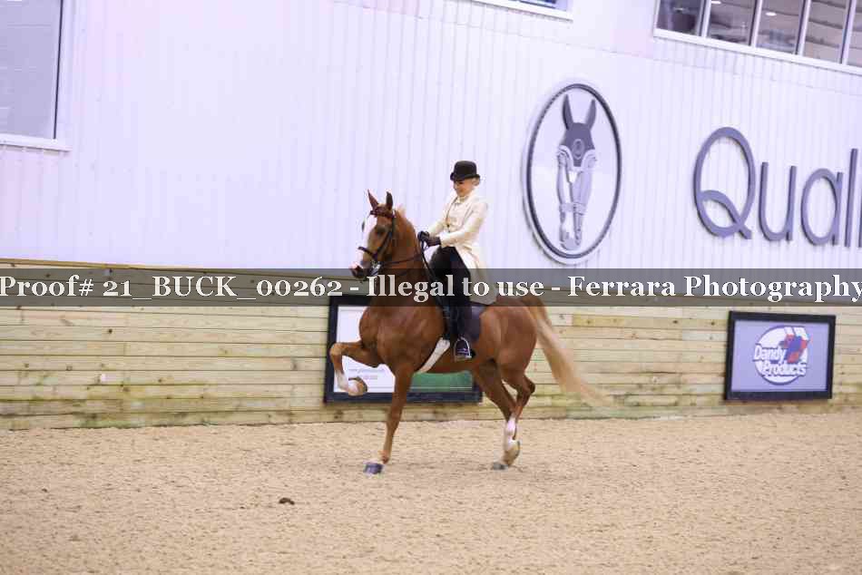 Proof 21_BUCK_00262