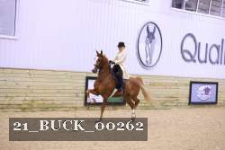 21_BUCK_00262 proof