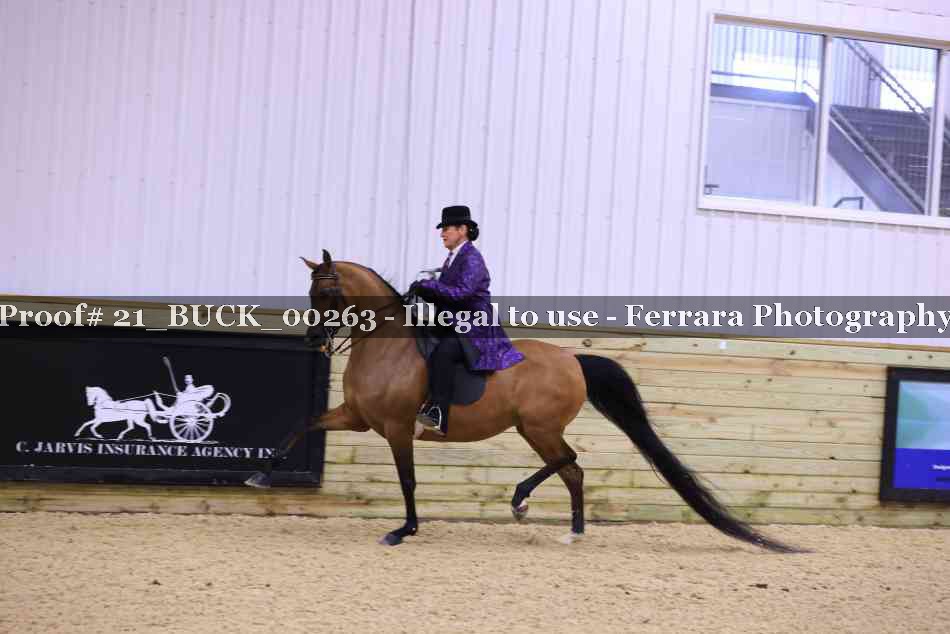 Proof 21_BUCK_00263