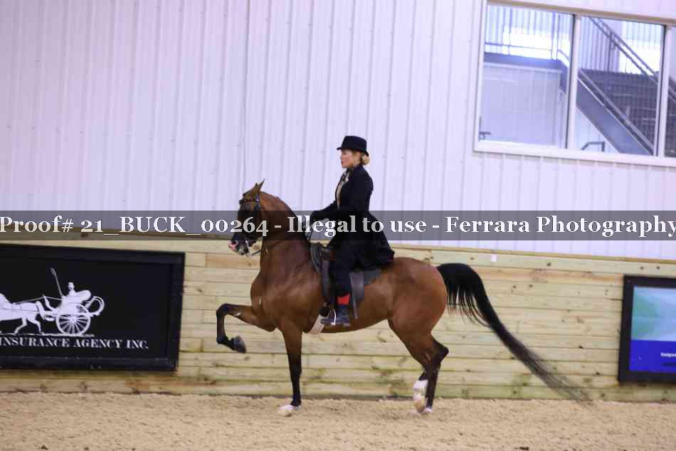 Proof 21_BUCK_00264