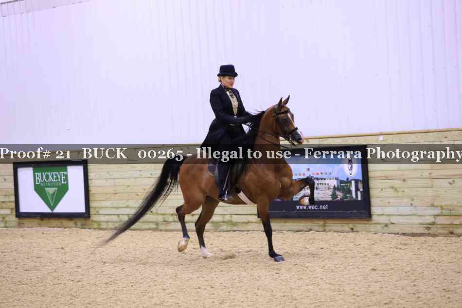 Proof 21_BUCK_00265