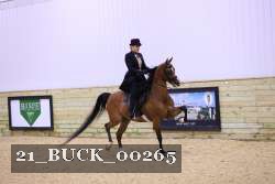 21_BUCK_00265 proof