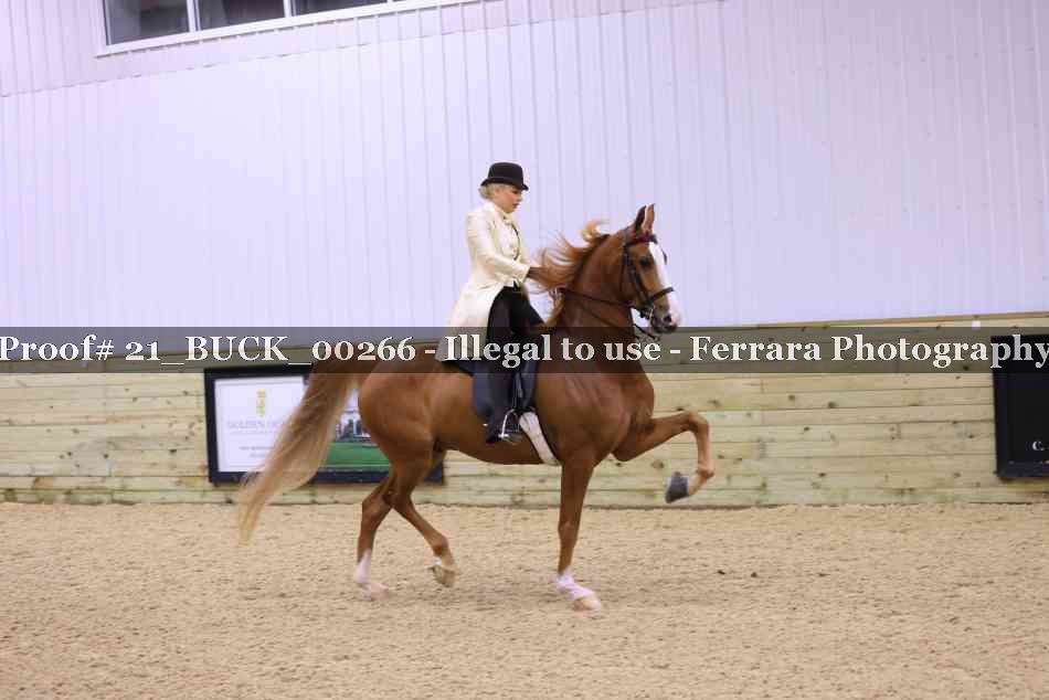 Proof 21_BUCK_00266
