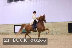 21_BUCK_00266 proof