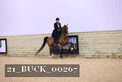 21_BUCK_00267 proof
