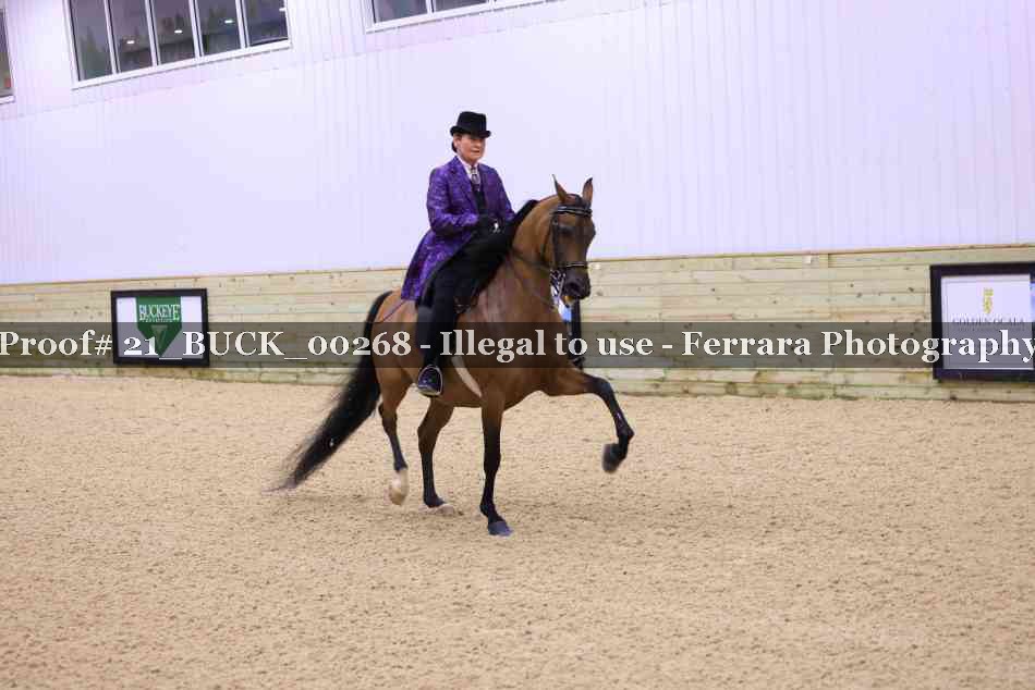 Proof 21_BUCK_00268