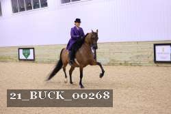 21_BUCK_00268 proof