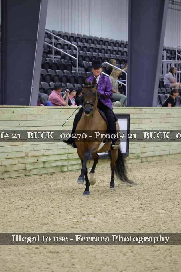 Proof 21_BUCK_00270