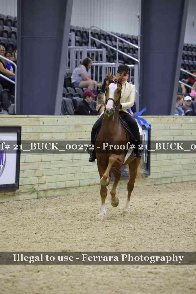 Proof 21_BUCK_00272