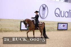 21_BUCK_00275 proof