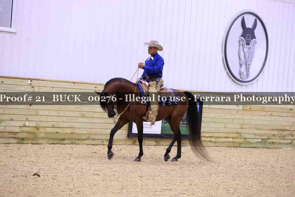 Proof 21_BUCK_00276