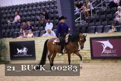 21_BUCK_00283 proof
