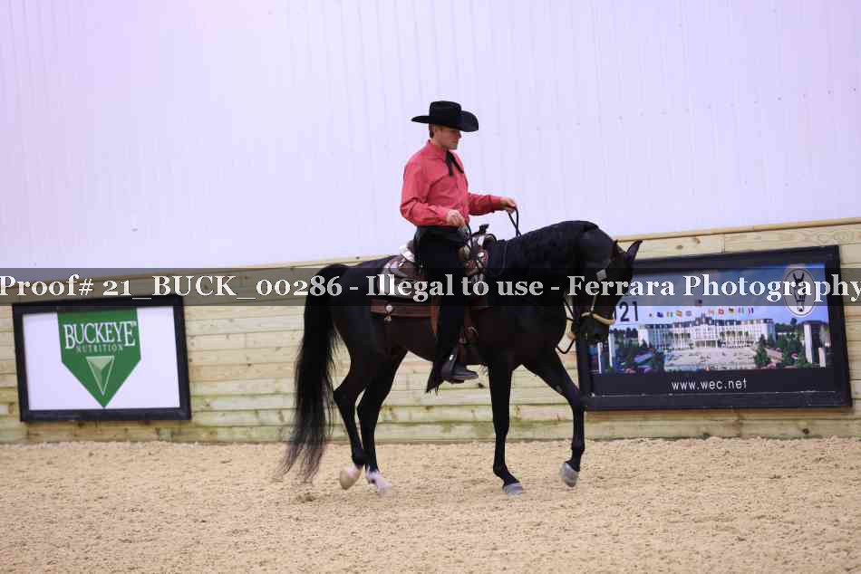 Proof 21_BUCK_00286