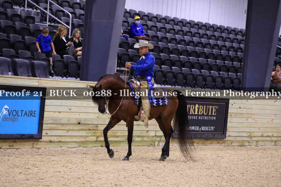 Proof 21_BUCK_00288
