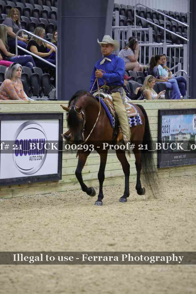Proof 21_BUCK_00293