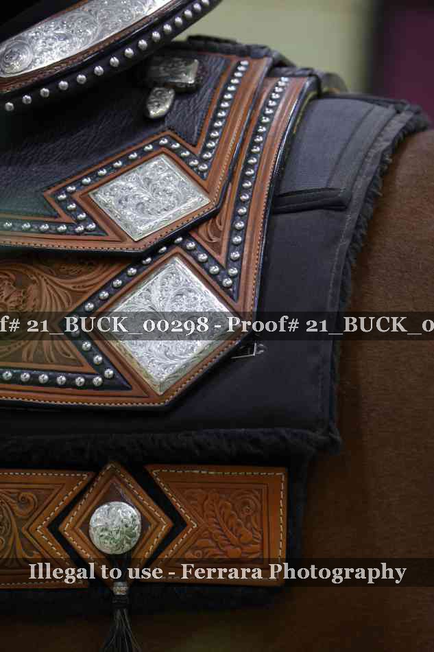 Proof 21_BUCK_00298