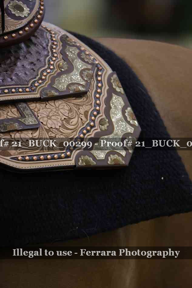 Proof 21_BUCK_00299