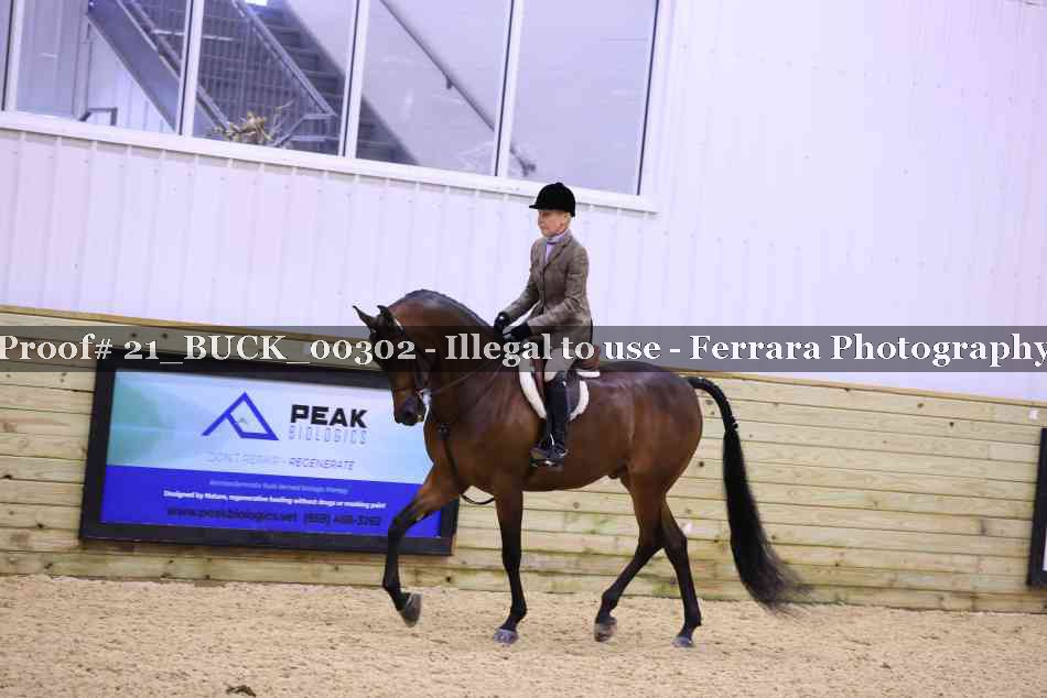 Proof 21_BUCK_00302