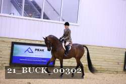 21_BUCK_00302 proof
