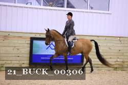 21_BUCK_00306 proof