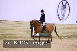 21_BUCK_00307 proof