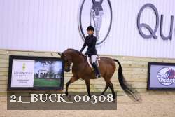 21_BUCK_00308 proof