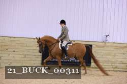 21_BUCK_00311 proof