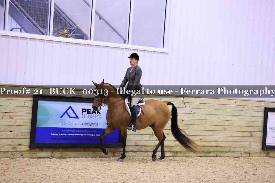 Proof 21_BUCK_00313