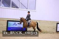21_BUCK_00313 proof