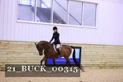 21_BUCK_00315 proof