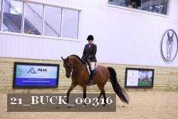 21_BUCK_00316 proof