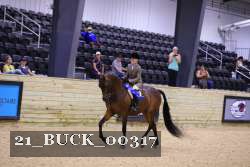 21_BUCK_00317 proof