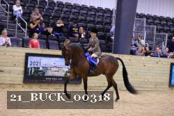 21_BUCK_00318 proof