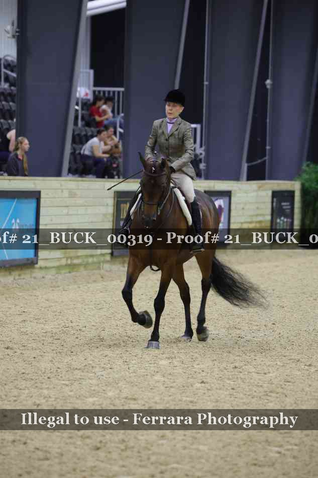 Proof 21_BUCK_00319
