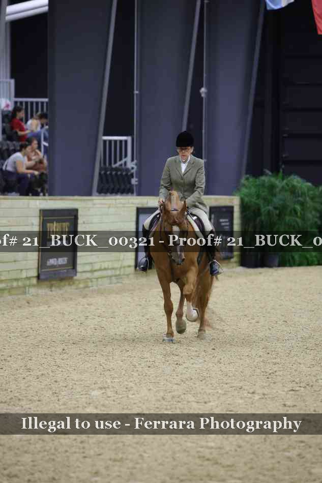 Proof 21_BUCK_00321