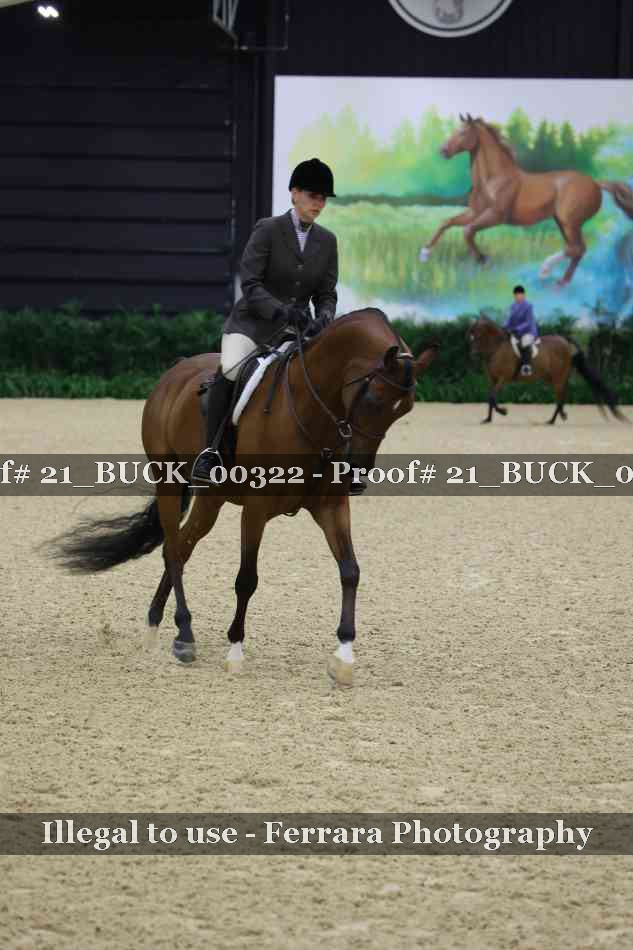 Proof 21_BUCK_00322
